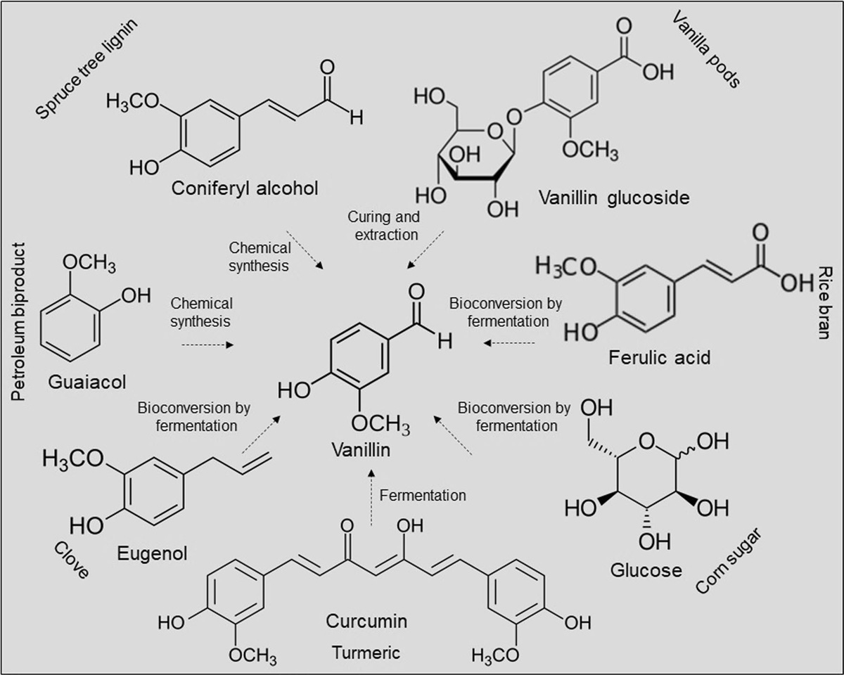 Production of Vanillin