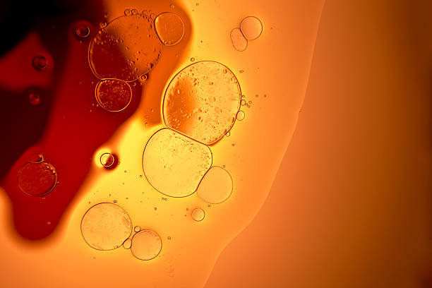 How Ethyl Ascorbic Acid Works