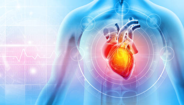 PQQ protects heart health.
