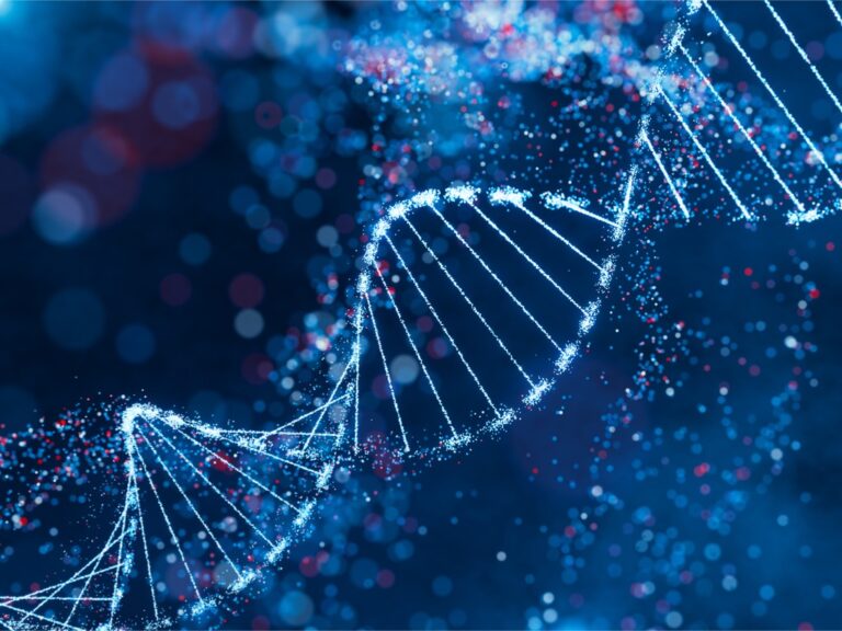 The benefits of Nicotinamide Mononucleotide