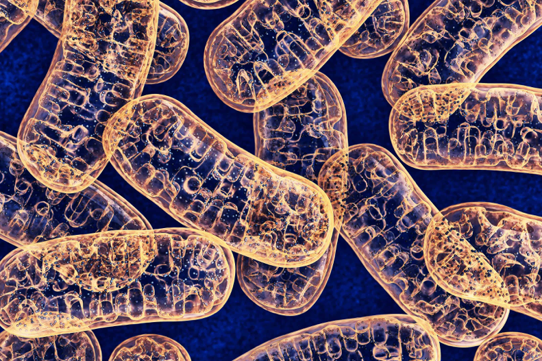The benefits of PQQ for the body