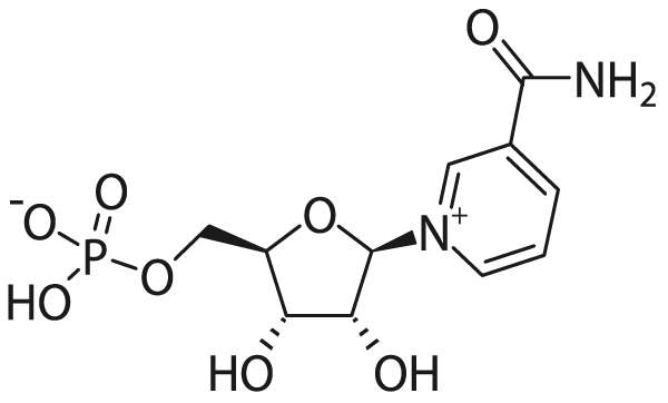 Nicotinamide Mononucleotide