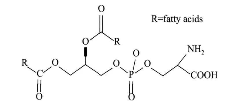 PS structure