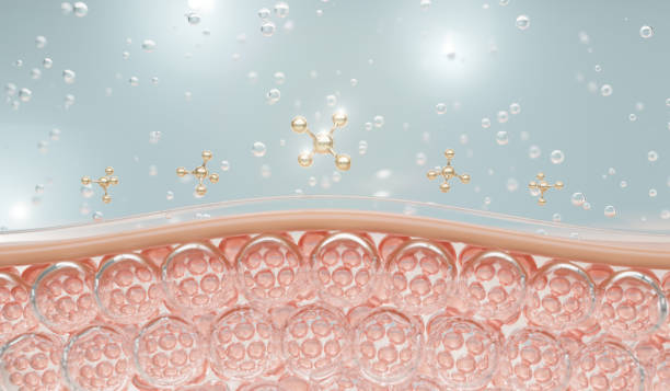 Isopropyl Myristate Benefits