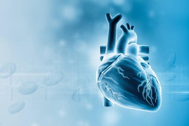 Phytosterols and Heart Health
