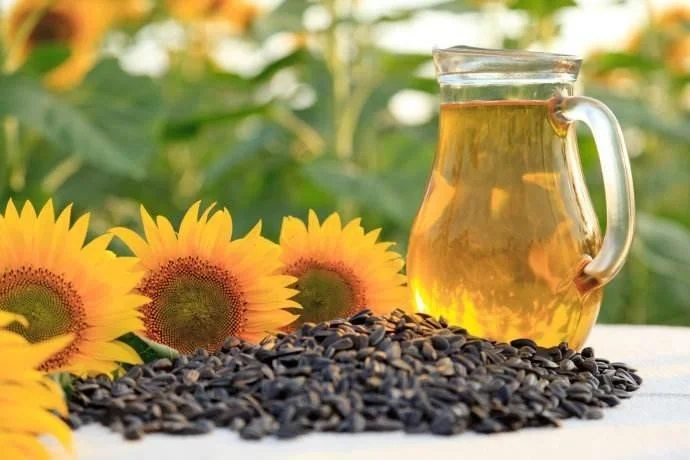What Are Phytosterols