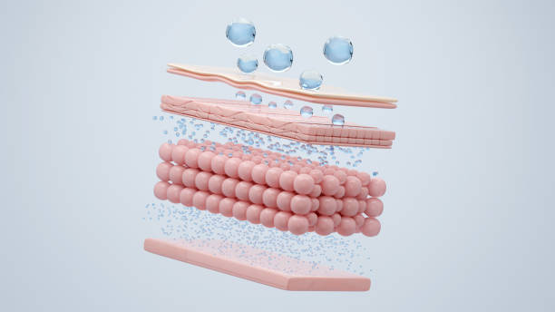 How do moisturizers work