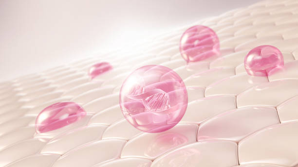 Benefits of lanolin on the skin