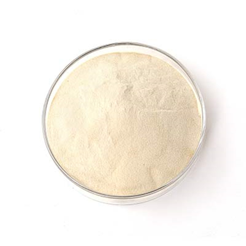 Guar 13S Cas 65497-29-2 china manufacturer- runtai chemical
