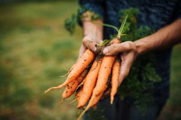 What Is Natural Beta Carotene