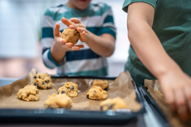 Application of Ferulic Acid in Food Industry