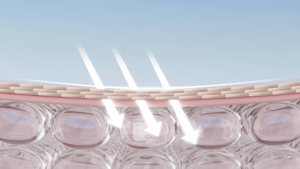 Product Advantages of Ferulic Acid