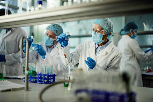 Production and Manufacturing Process of Coenzyme Q10(CAS 303-98-0)