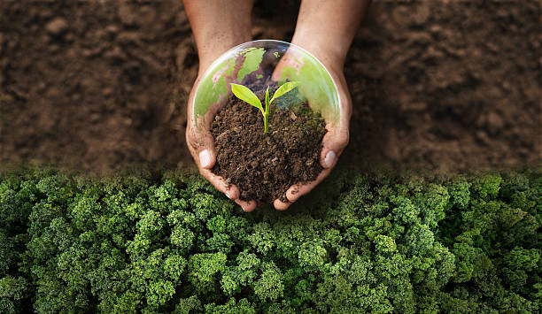 Chitosan produced from recycled shrimp and crab shells, highlighting its biodegradable and eco-friendly nature