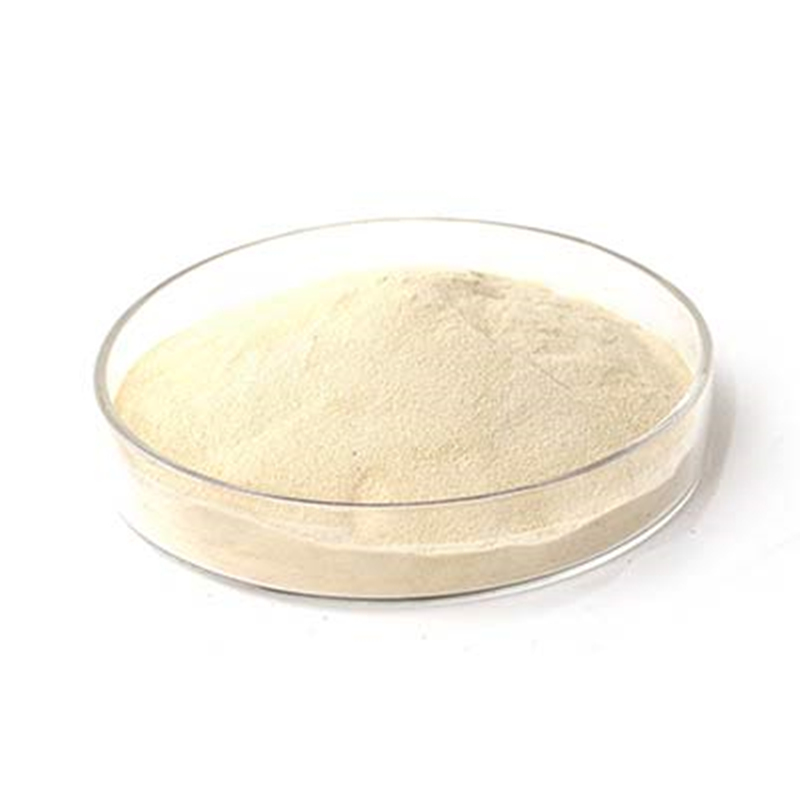 Caffeic Acid Cas 331-39-5 china manufacturer&factory Runtai chemical
