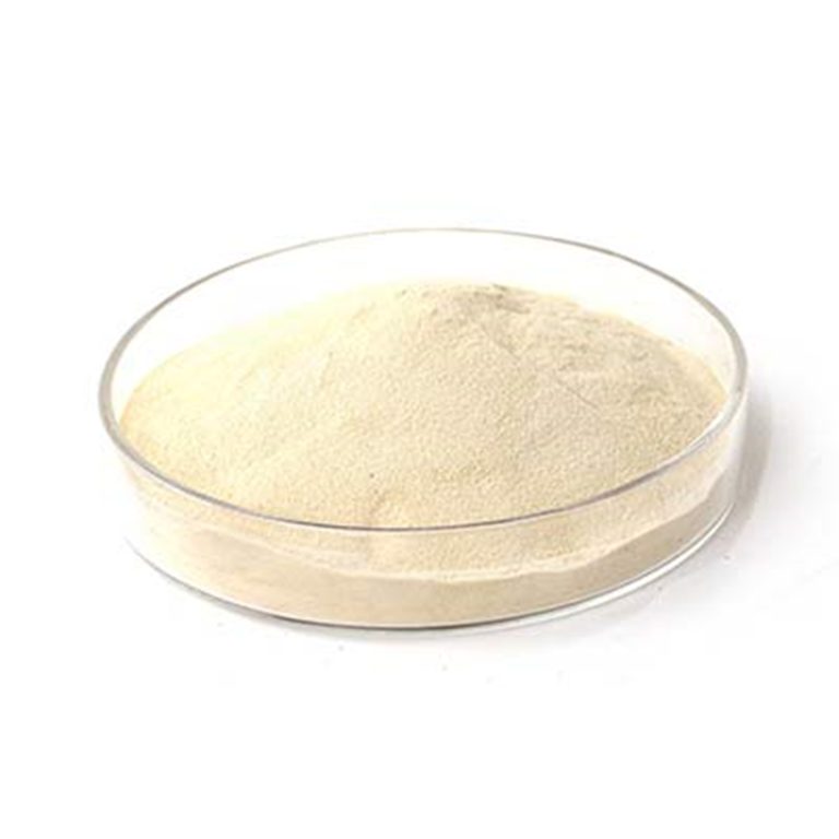 Spermidine with Cas124-20-9 china manufacturer&factory Runtai chemical