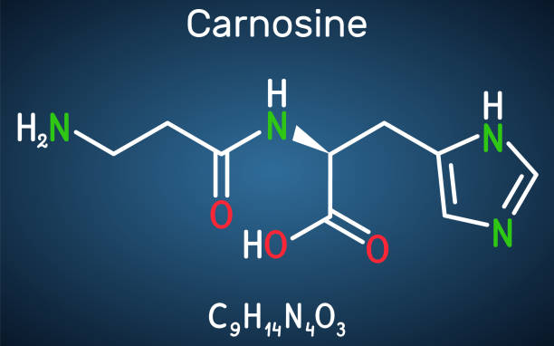 L-Carnosine (Carnosine) chemical structure, molecular formula C9H14N4O3, and compound name