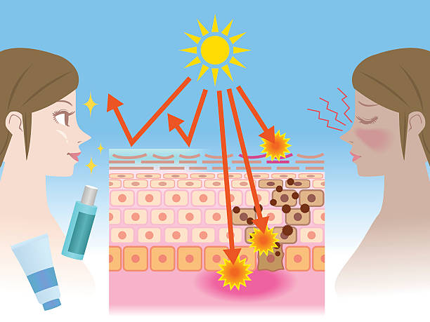 Comparison between DHA sunless tanning and traditional UV tanning skin effects