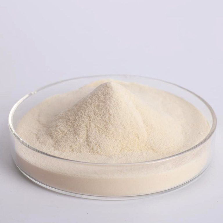 Fungal Alpha-Amylase with Cas 9001-19-8 – Runtai Chemical Bulk Supplier
