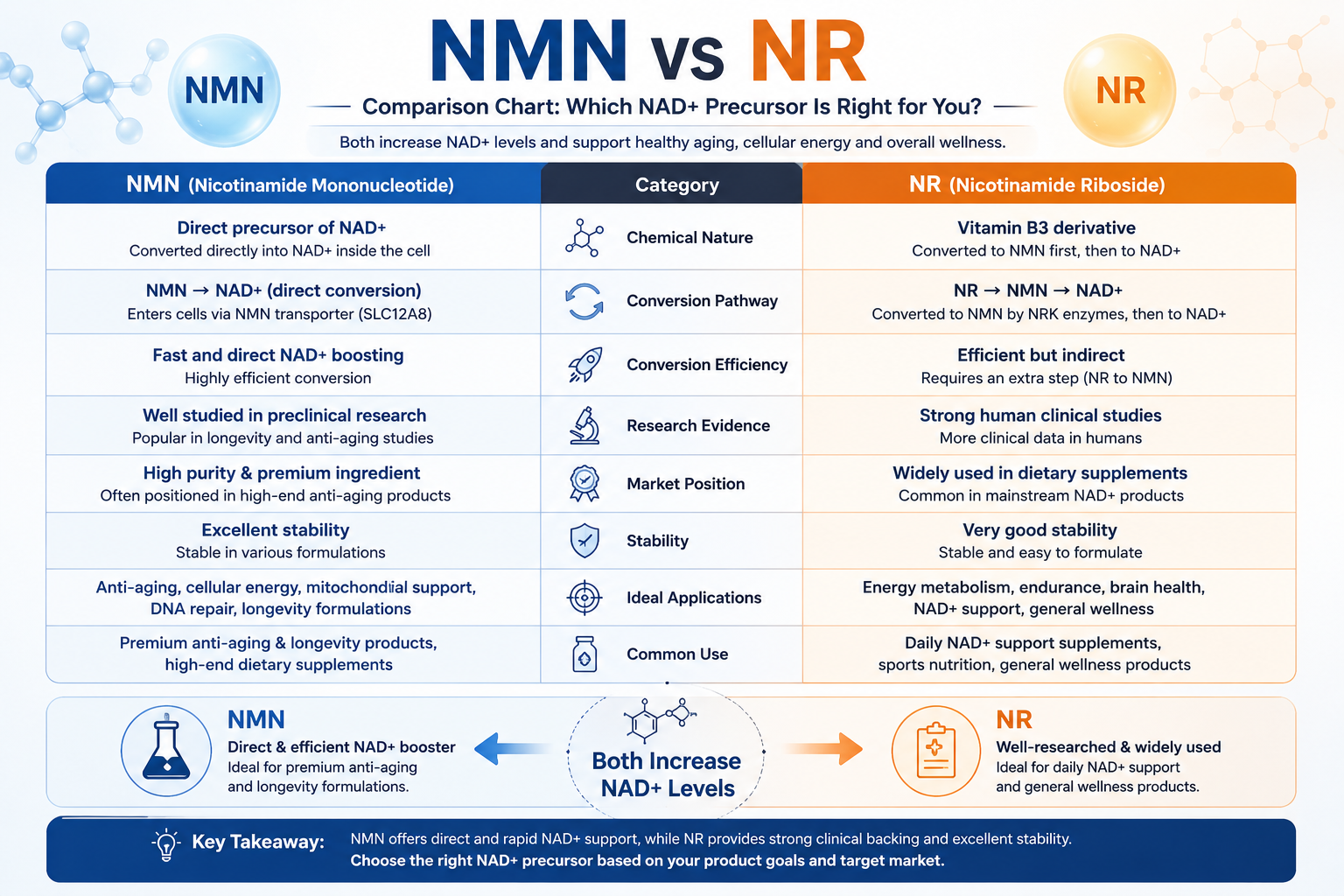 NMN vs NR — What's the Difference?
